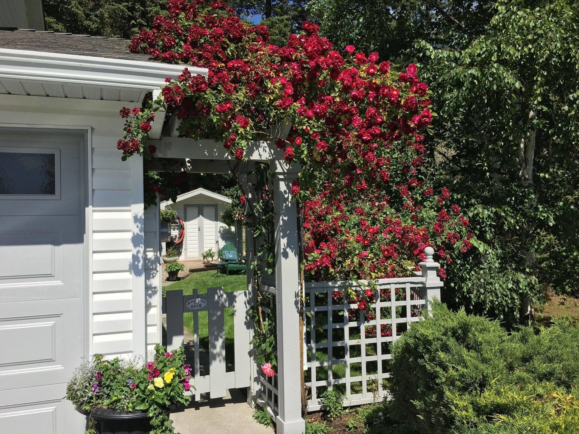 Alexandria House Bed & Breakfast Уест Келоуна Екстериор снимка